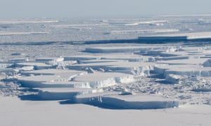 'Precipitous' fall in Antarctic sea ice since 2014 revealed