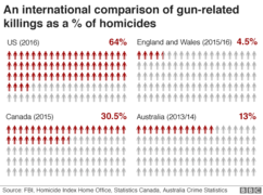 America's gun culture in 10 charts