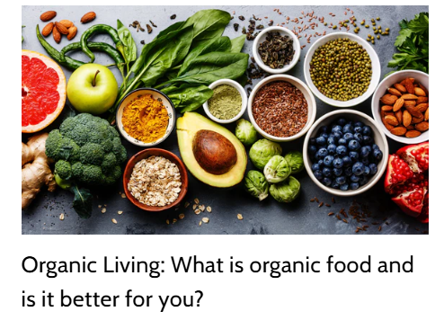 File:PLANET ORGANIC.png