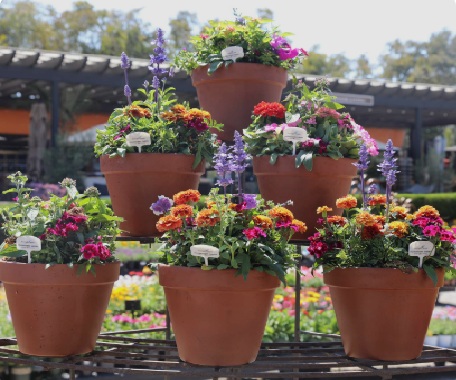 File:Container Gardening.jpeg