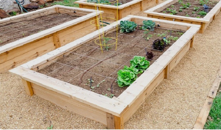 File:Raised Bed Gardening.jpg