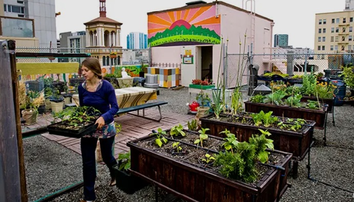 File:Urban Gardening.jpg