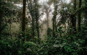 File:5B8FF042-3946-43AA-B660FC71BA6008E1.jpg