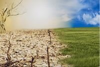 Environment-Climate Change.jpg
