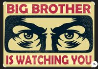 Big Brother.jpg