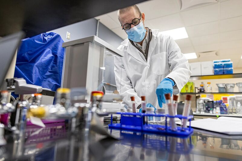 File:Micro Plastics Brain NYT.jpg