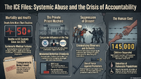 Immigration Agency Systemic Abuse Infographic.png