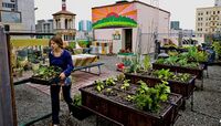 Urban Gardening.jpg