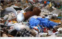 Plastic pollution Guardian.jpg