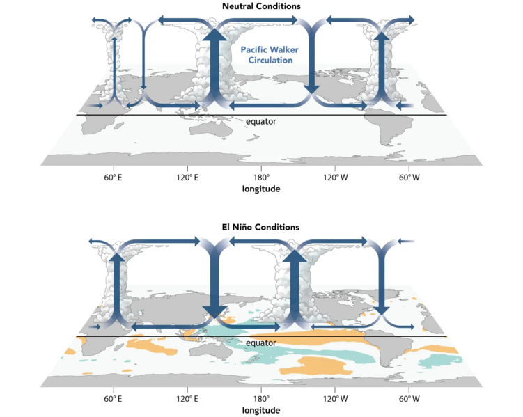 File:Walker-circulation-1440.png