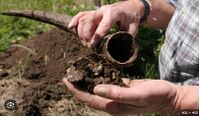 BIODYNAMIC.jpg