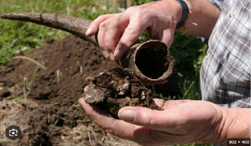 File:BIODYNAMIC.jpg